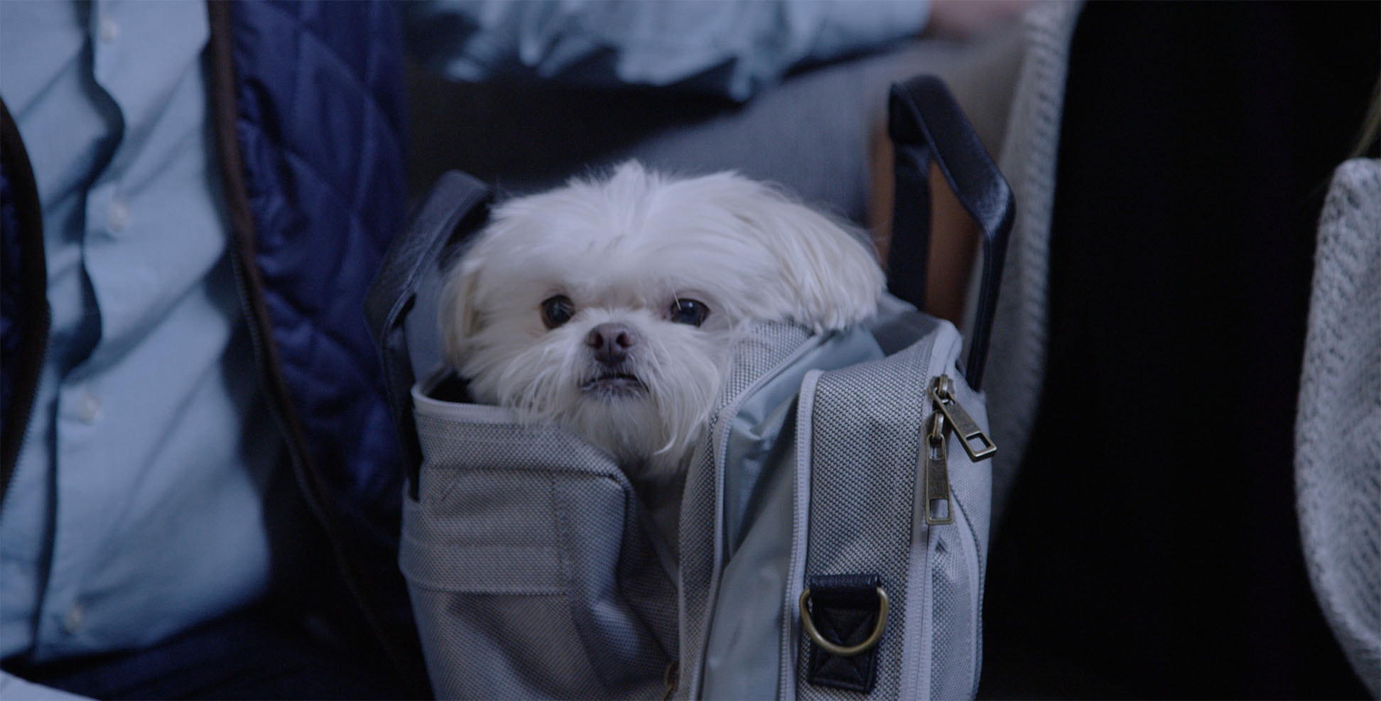 Hackpack gallery image