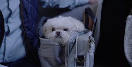 Hackpack gallery image