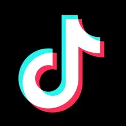 TikTok Elections Center