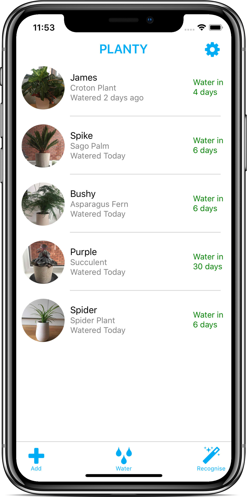 Planty gallery image