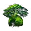 JOYTREE