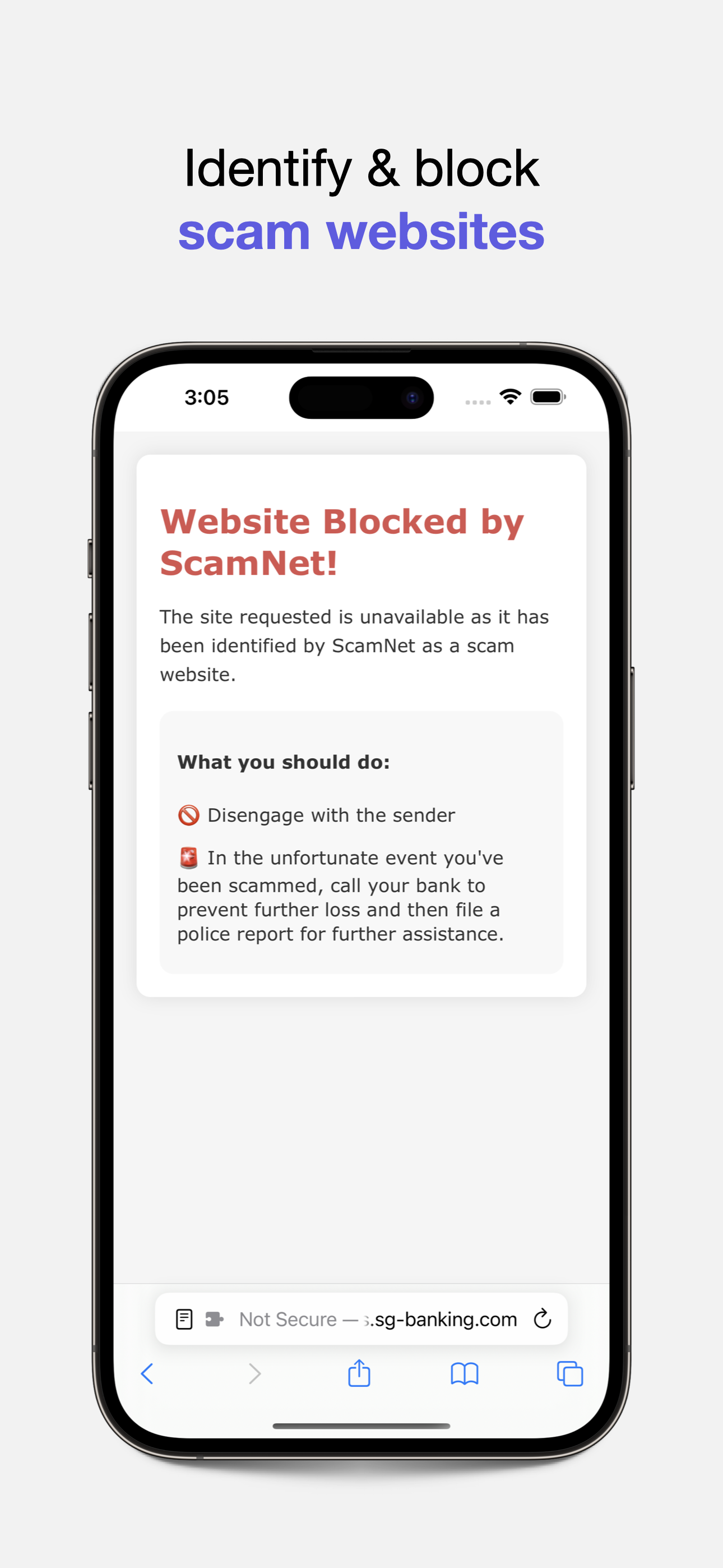 Scamnet media 5