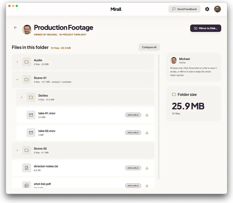 Mirall screenshot 3