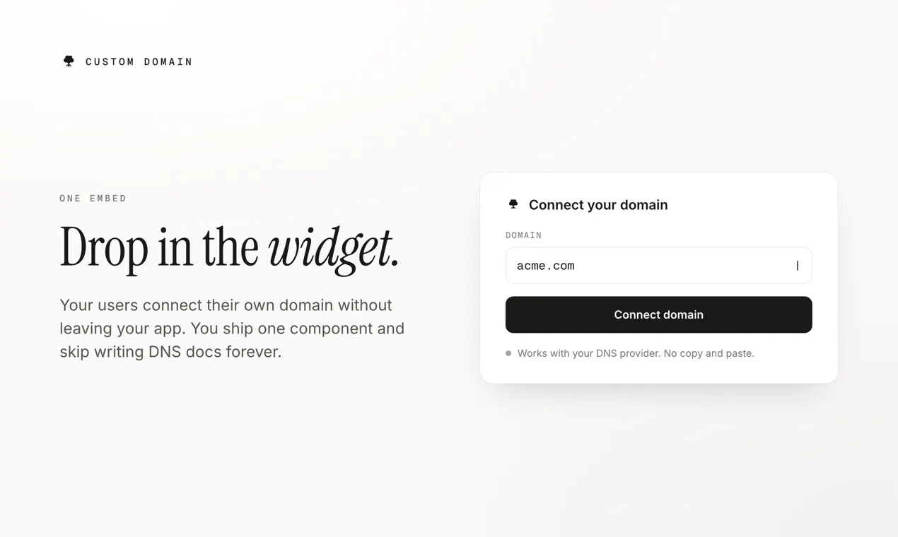 CUSTOM DOMAIN gallery image