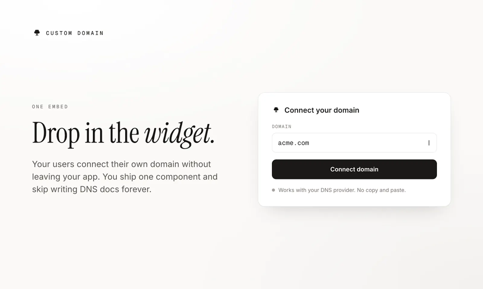 CUSTOM DOMAIN screenshot 2