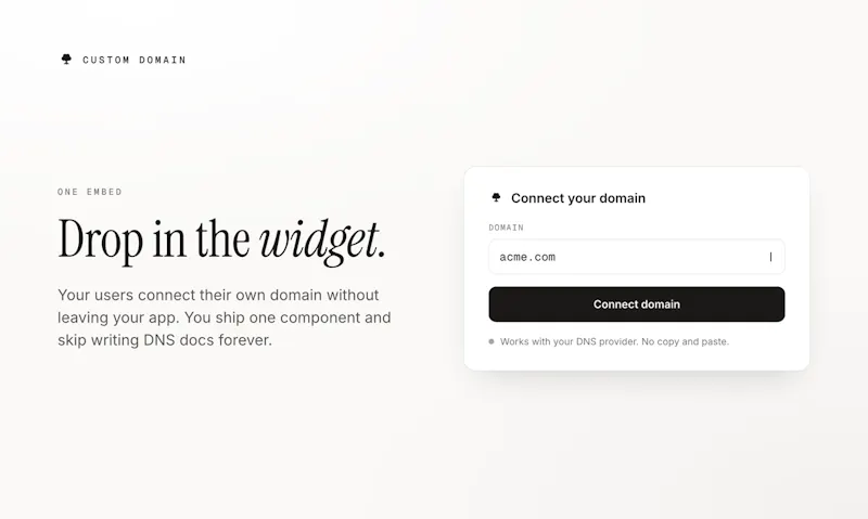 CUSTOM DOMAIN screenshot 2