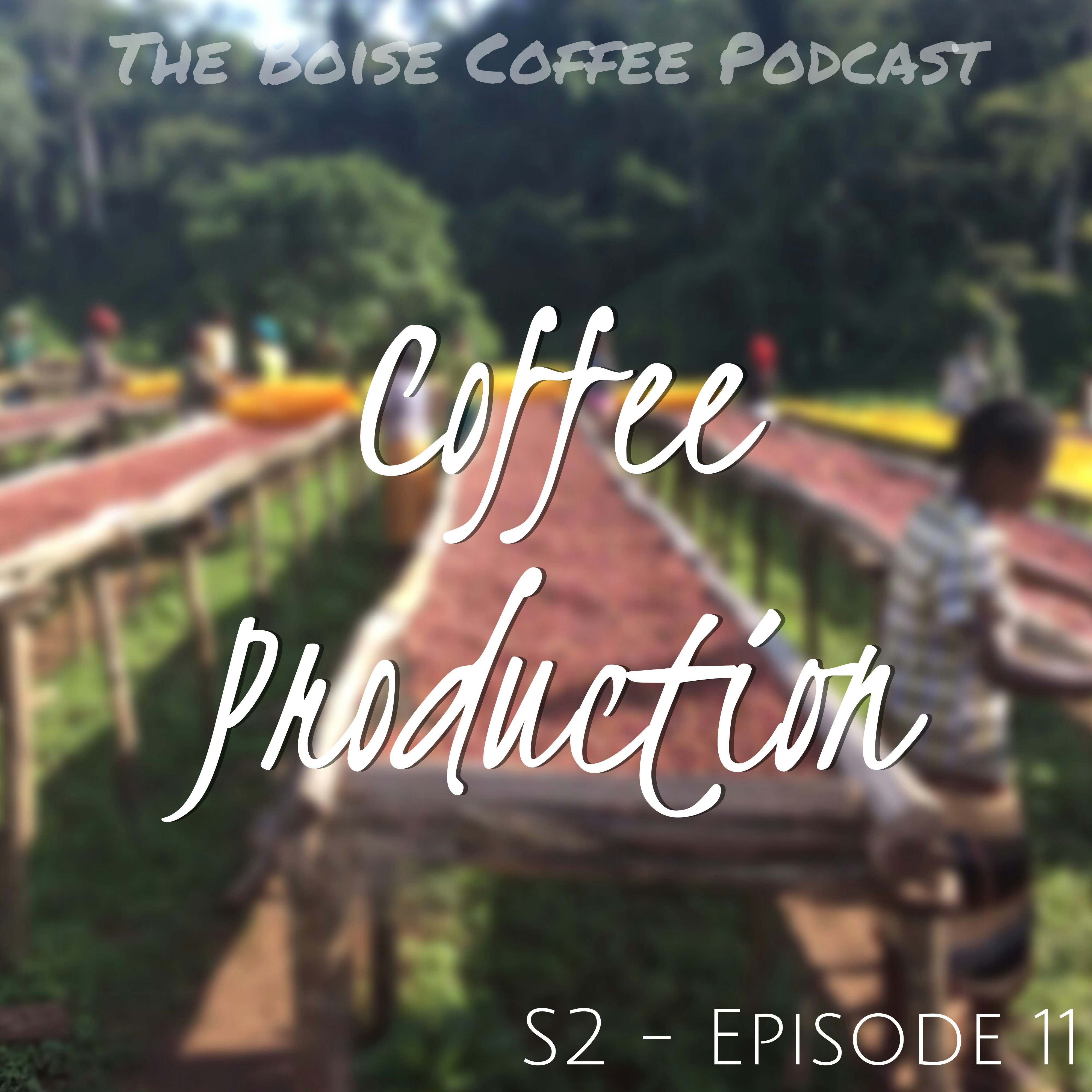 The Boise Coffee Podcast - S2 E11: Coffee Production