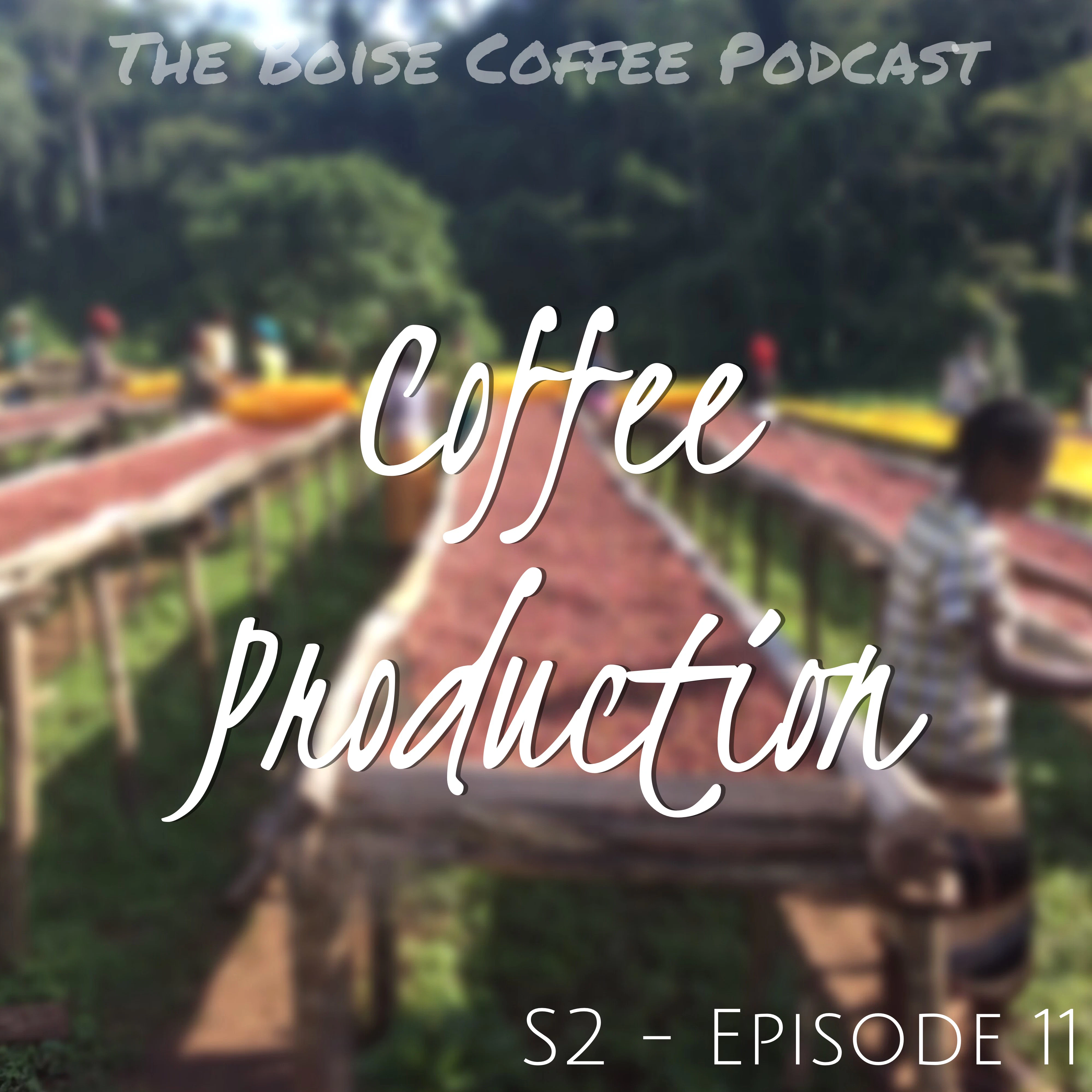 The Boise Coffee Podcast - S2 E11: Coffee Production
