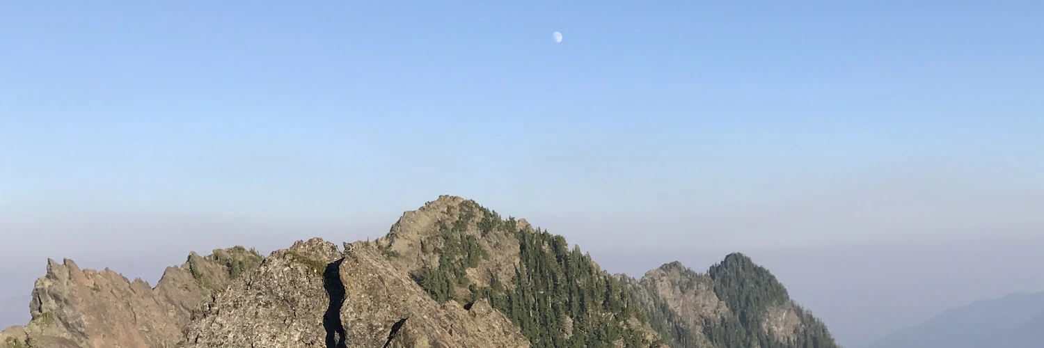 Sandro Turriate cover