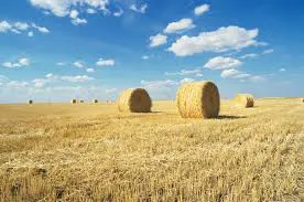 Ask The Farm