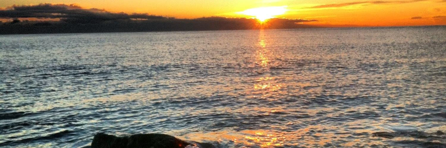 daniela castrataro cover