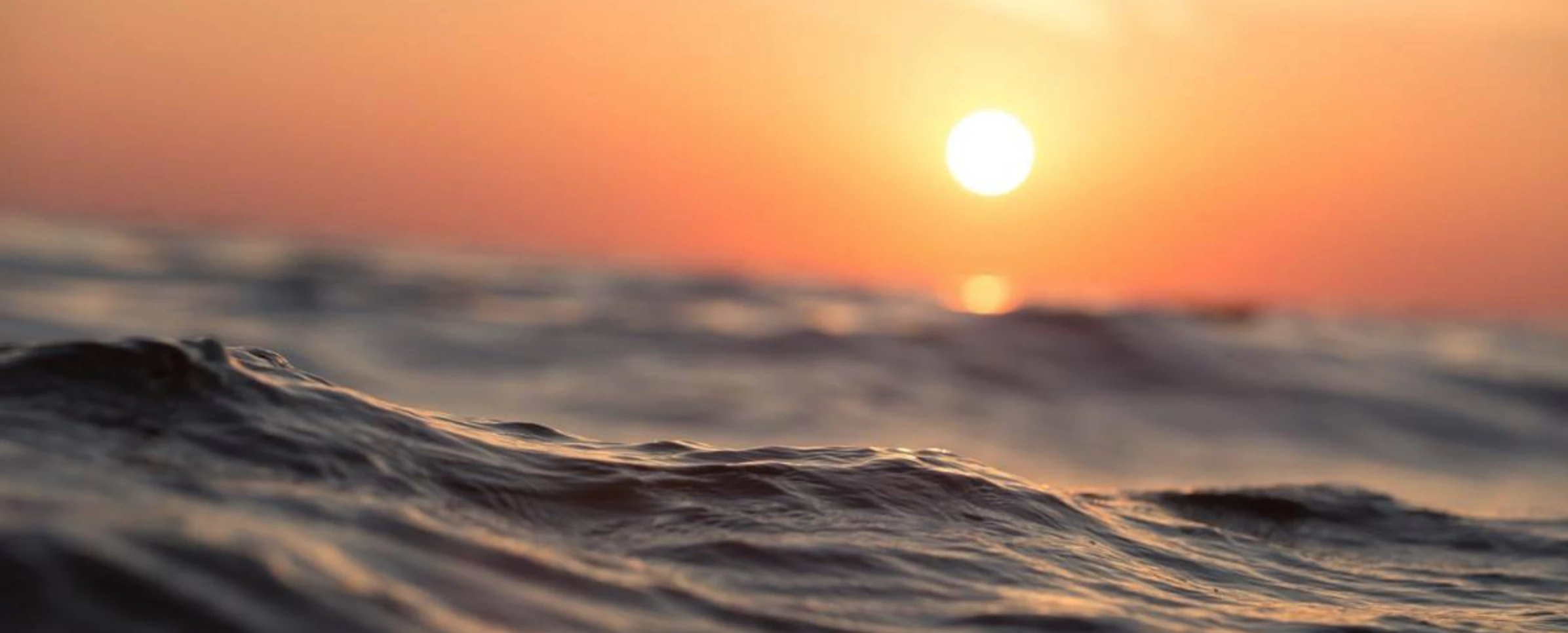 Mansurul Haque cover