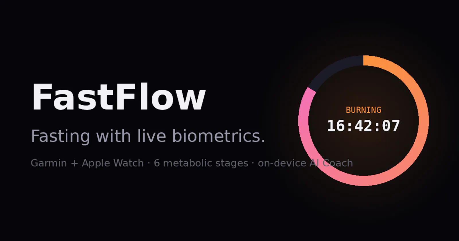 FastFlow screenshot 1