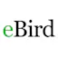 eBird