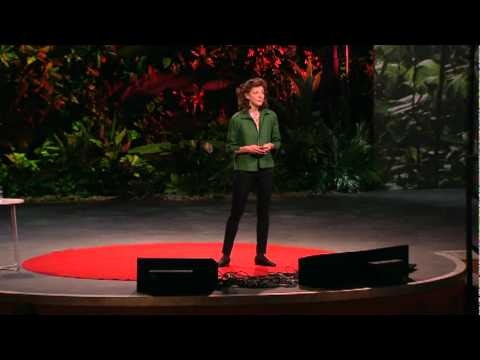 Liespotting gallery image