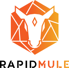RapidMule gallery image