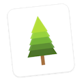 Pine