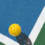 Racket Pickleball