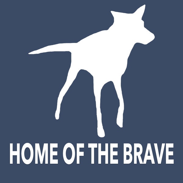 Home of the Brave - The rebel yell