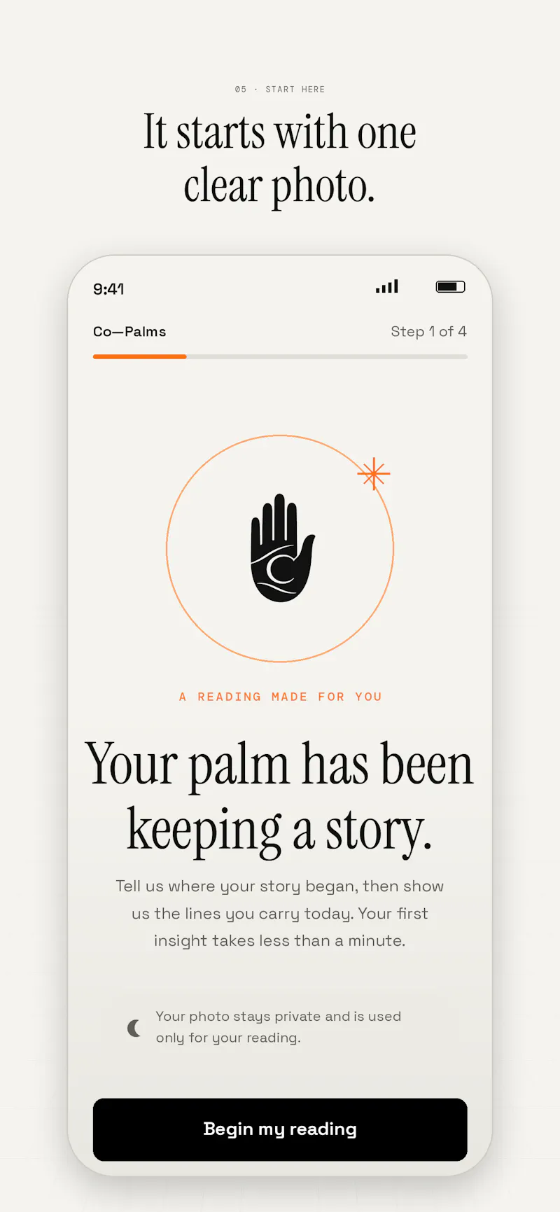 Co-Palms screenshot 6