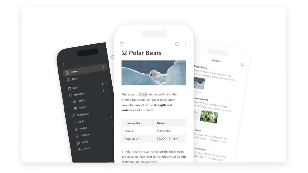 Mushroam gallery image