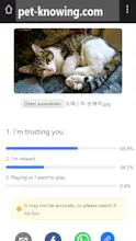 Pet-Knowing gallery image