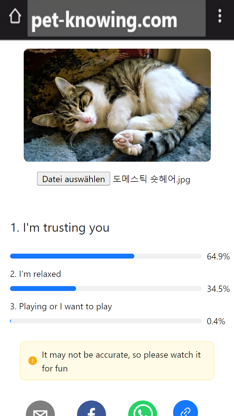 애완 동물을 알고 있습니다 - 애완 동물, 고양이, 개, ai, 반응, 다음 .js, strapi 미디어 3