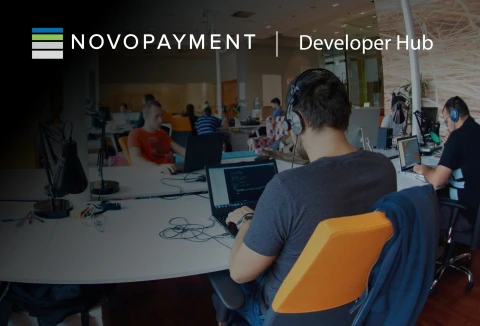 Developer HUB Novo Payment