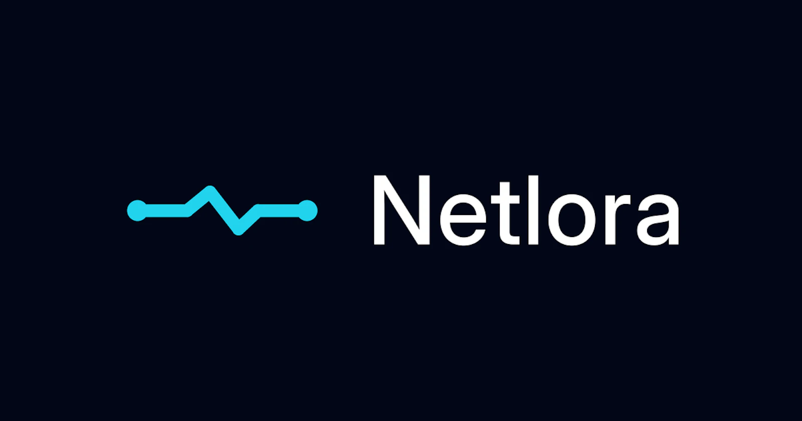 Netlora screenshot 1