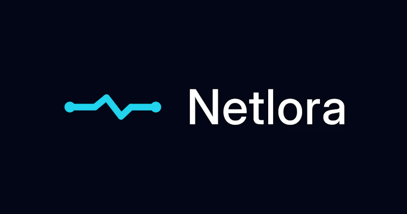 Netlora screenshot 1