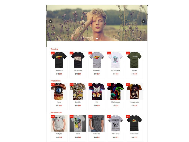 Dropship Startups gallery image