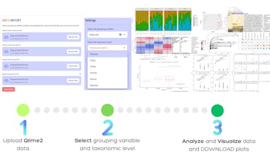 MicrobiomePhylo gallery image