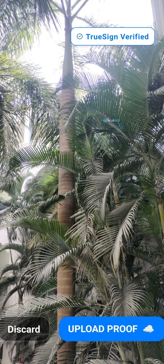 TrueSign gallery image