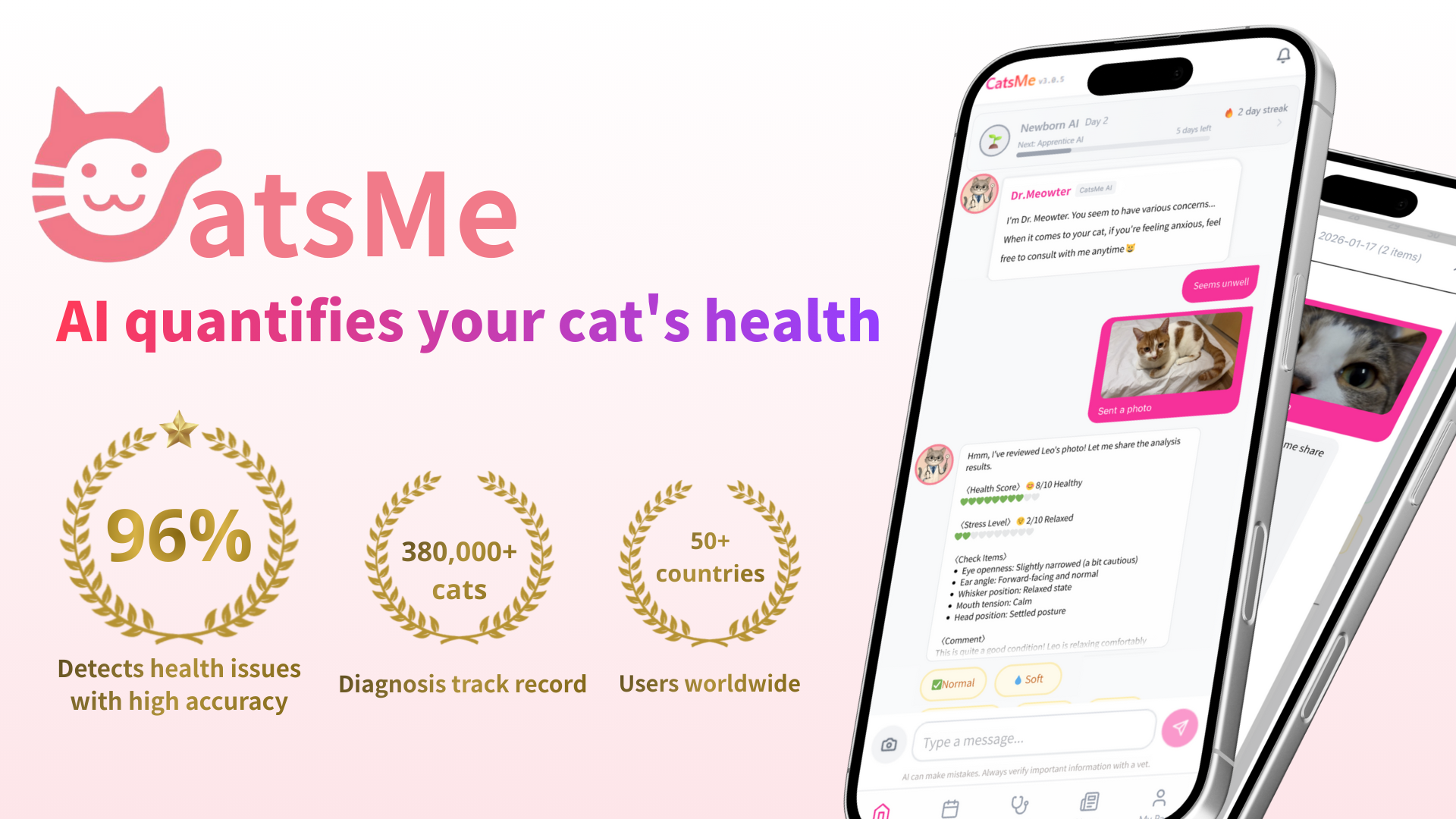 CatsMe 2.0 – AI Cat Health from a Photo