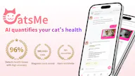 CatsMe 2.0 – AI Cat Health from a Photo