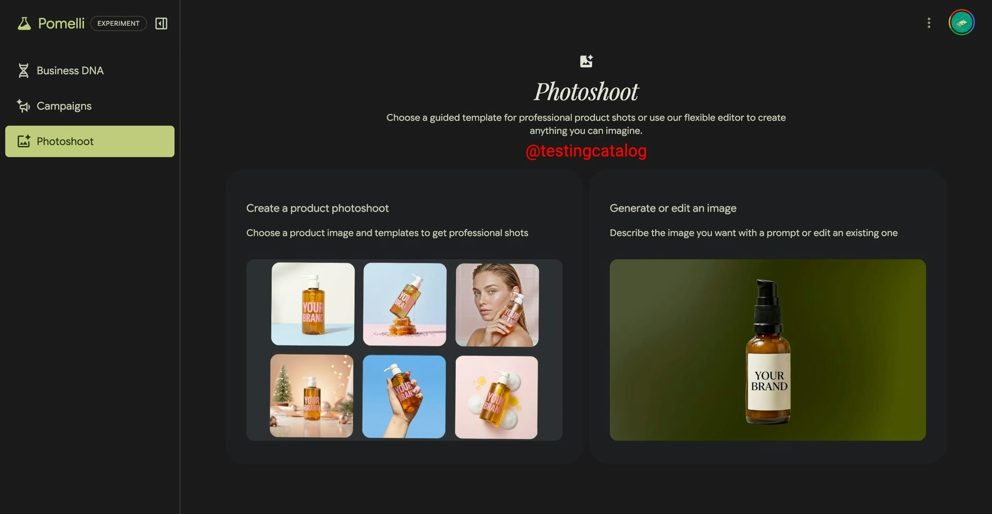 Google Pomelli 2.0  gallery image