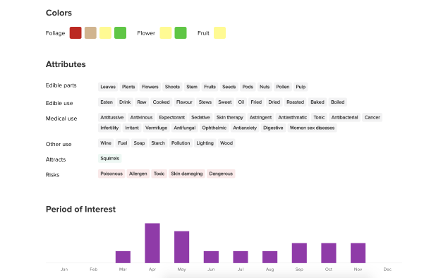 Let's Plant gallery image