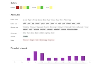 Let's Plant gallery image