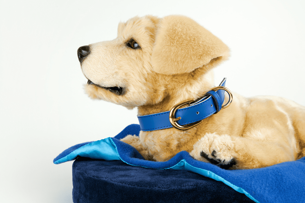 Tombot gallery image