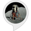 Moon lander - Alexa skill