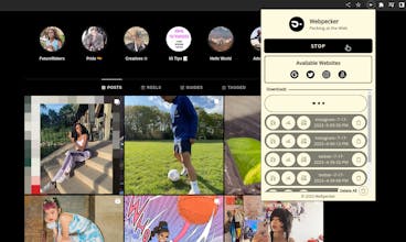 Webpecker gallery image