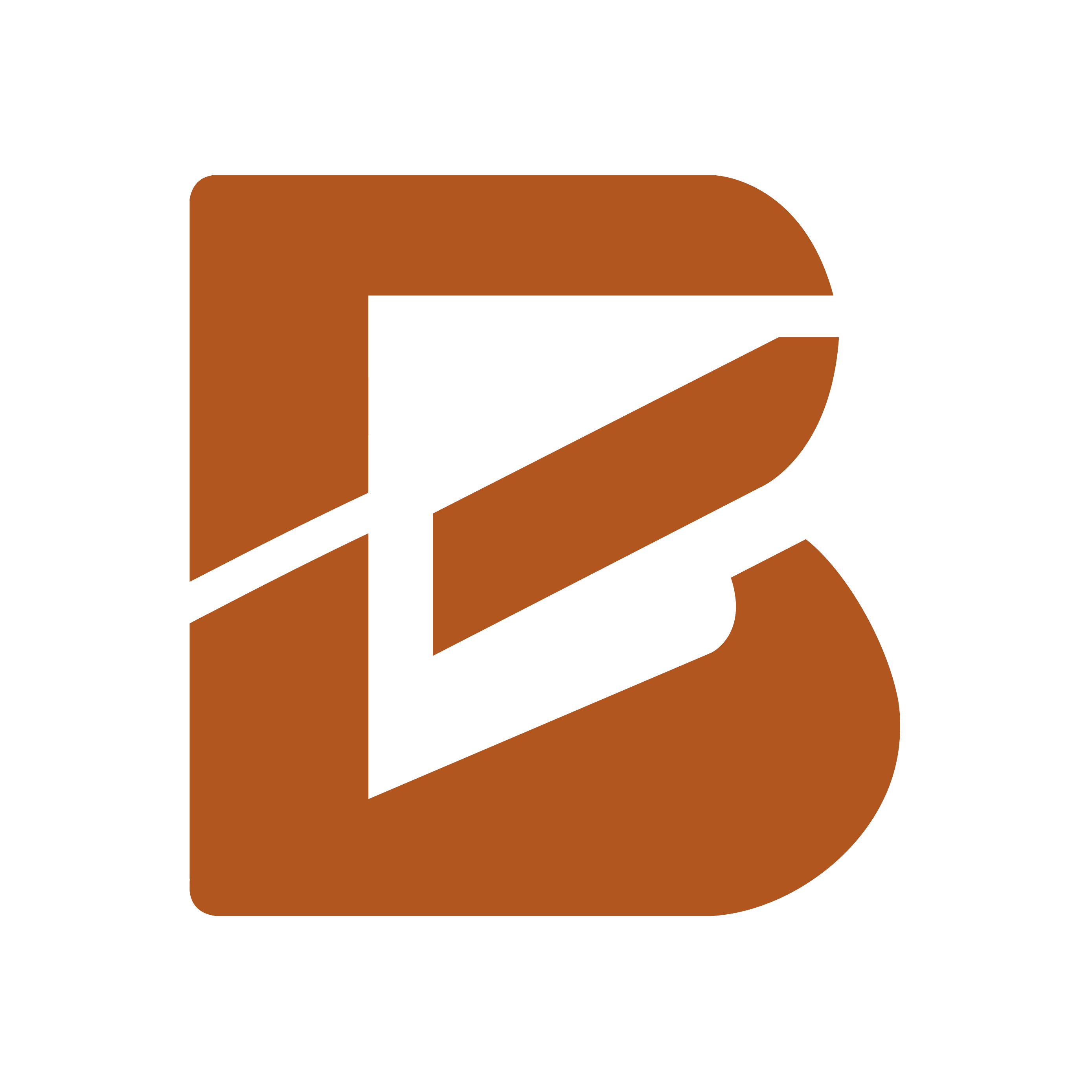 Bricolynx - Product Hunt launch logo and brand identity