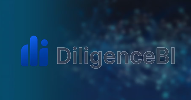 DiligenceBI gallery image