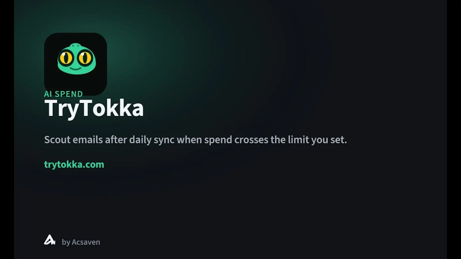 TryTokka screenshot 1 (video preview)