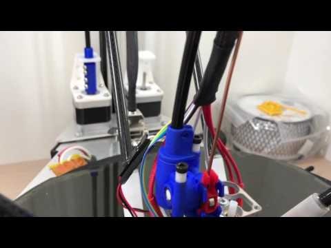 Zesty Nimble gallery image