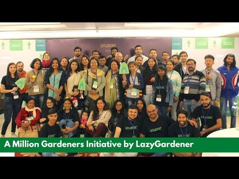 Lazy Gardener gallery image