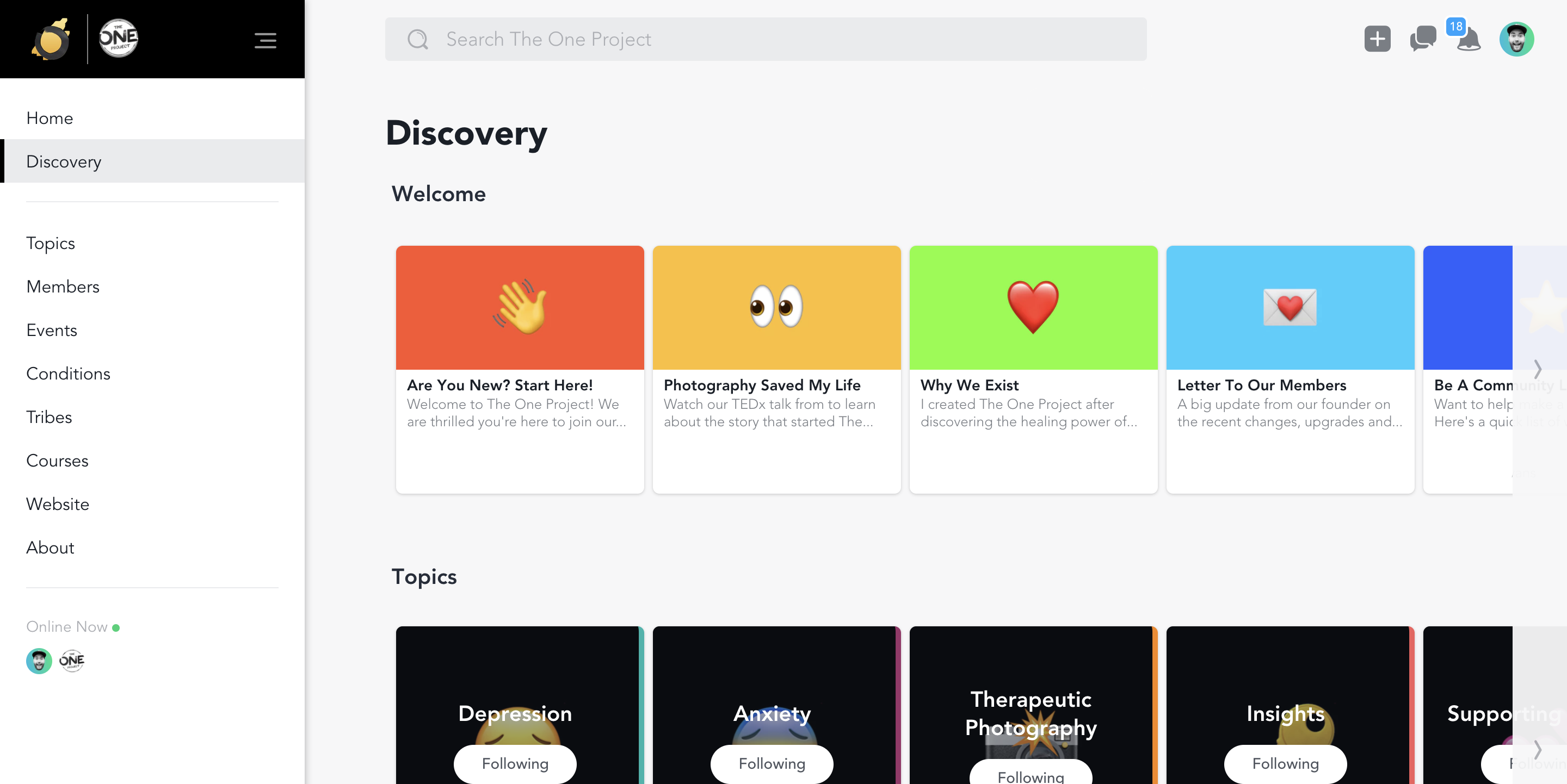 The One Project gallery image