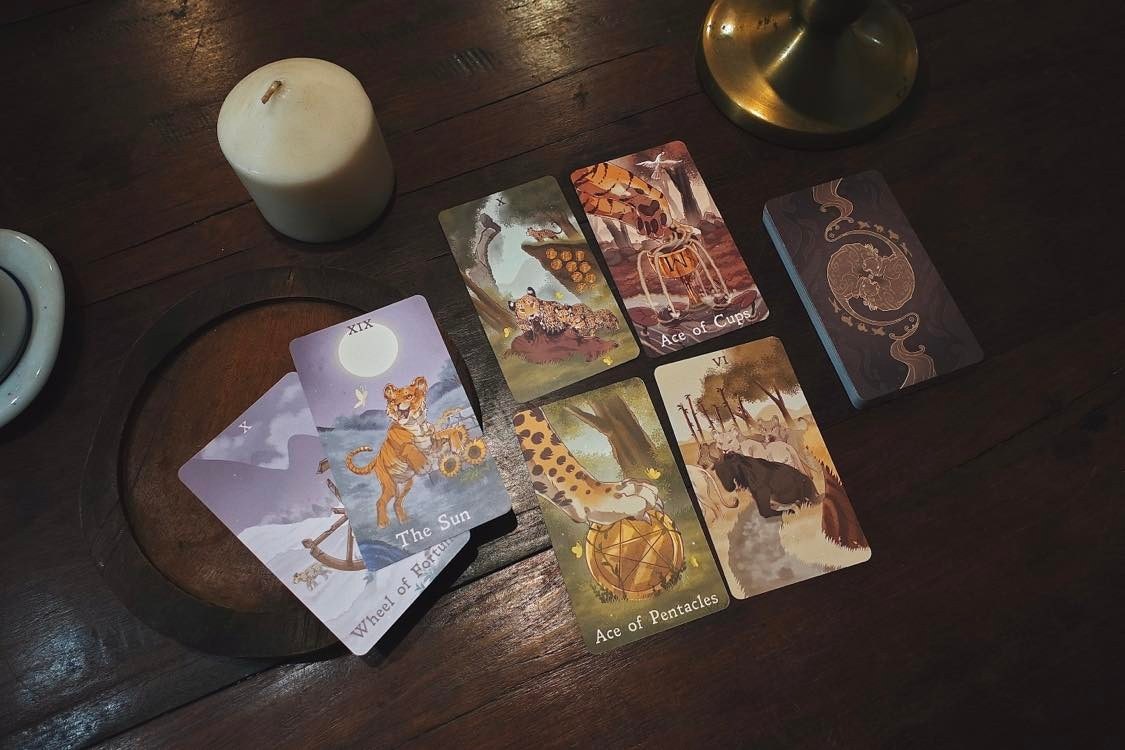 Panthera Tarot의 반환 미디어 13