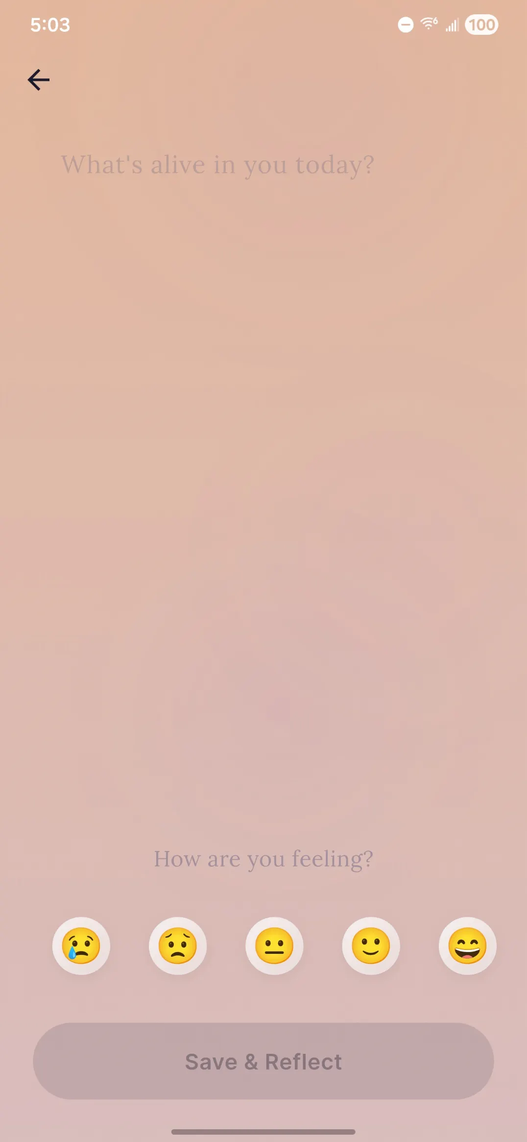 スクリーンショット 6