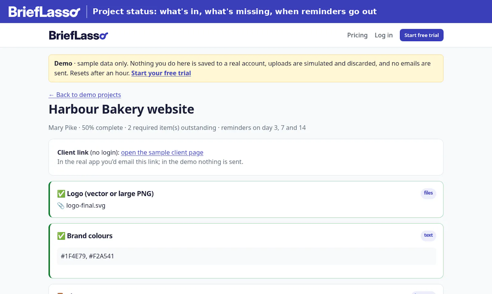 BriefLasso screenshot 2
